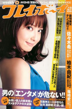 非公认战队秋叶原连者